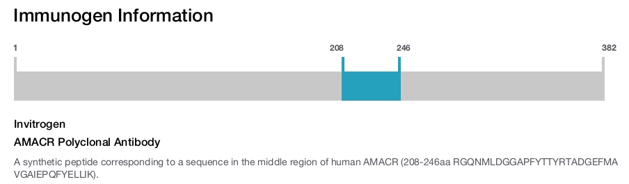 AMACR Polyclonal Antibody