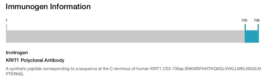 KRIT1 Polyclonal Antibody