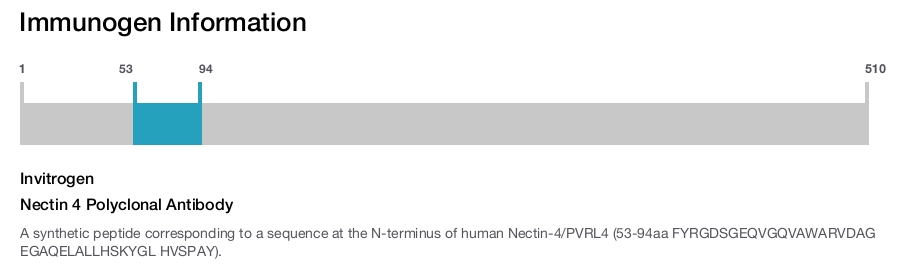 Nectin 4 Polyclonal Antibody