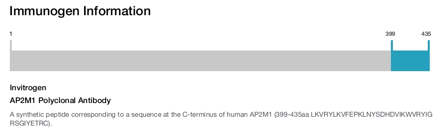 AP2M1 Polyclonal Antibody