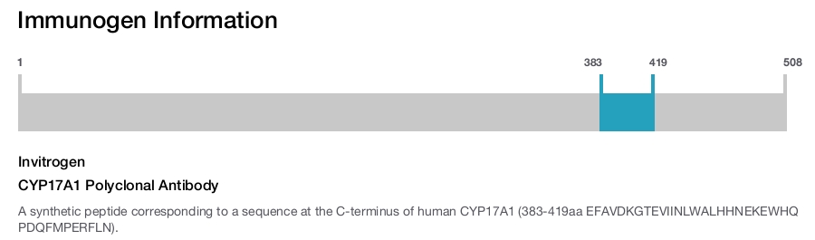 CYP17A1 Polyclonal Antibody