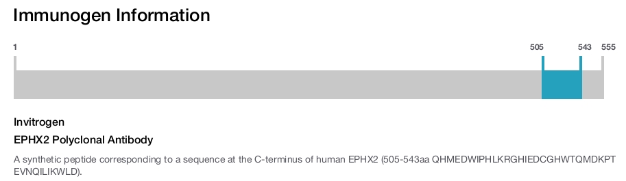 EPHX2 Polyclonal Antibody