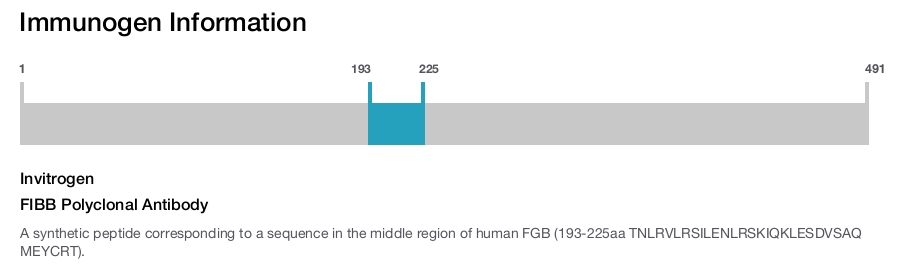 FIBB Polyclonal Antibody