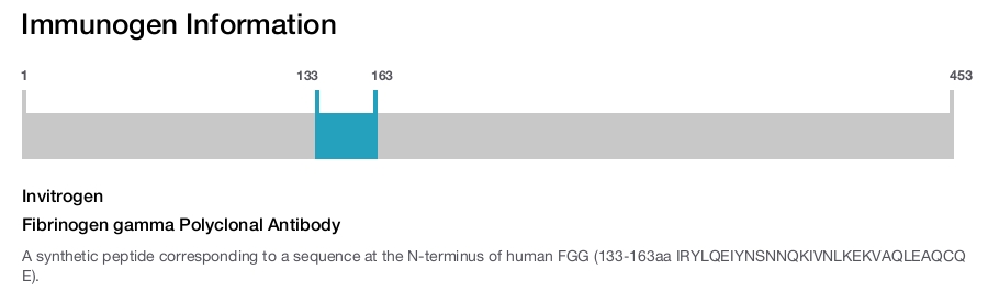 Fibrinogen gamma Polyclonal Antibody
