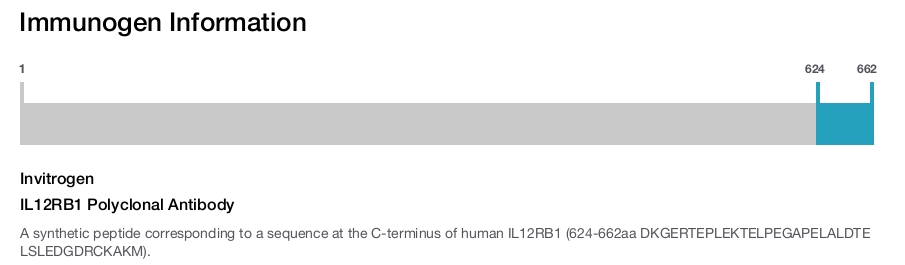 IL12RB1 Polyclonal Antibody