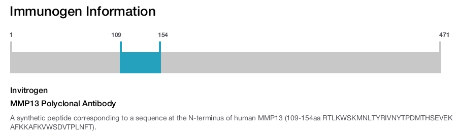 MMP13 Polyclonal Antibody