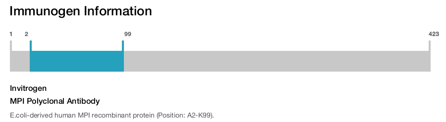 MPI Polyclonal Antibody