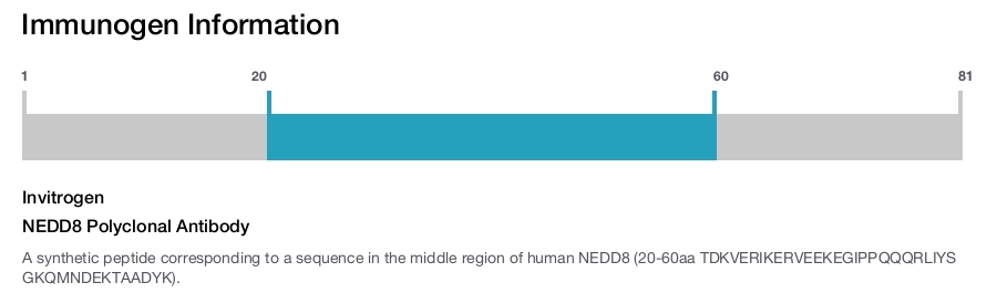 NEDD8 Polyclonal Antibody