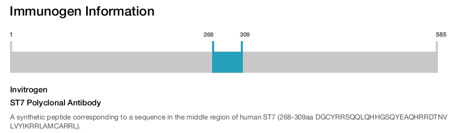 ST7 Polyclonal Antibody
