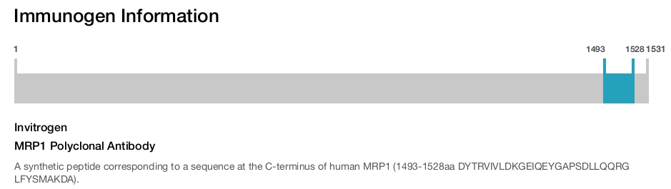 MRP1 Polyclonal Antibody