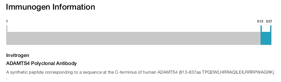 ADAMTS4 Polyclonal Antibody