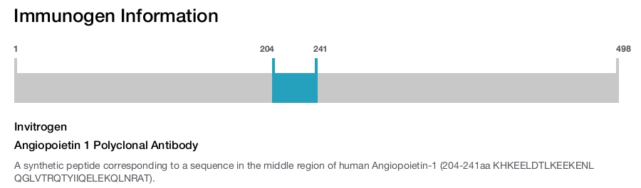 Angiopoietin 1 Polyclonal Antibody