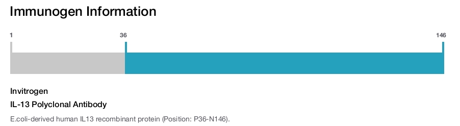 IL-13 Polyclonal Antibody