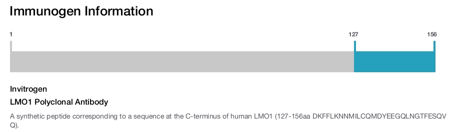 LMO1 Polyclonal Antibody
