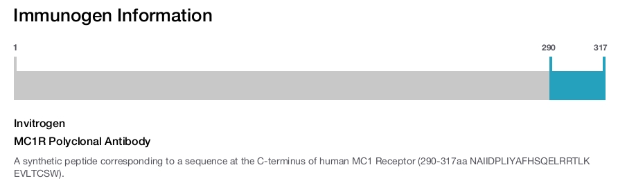 MC1R Polyclonal Antibody