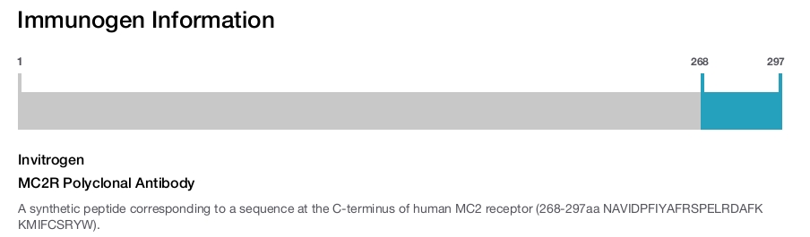 MC2R Polyclonal Antibody