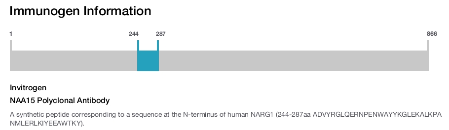 NAA15 Polyclonal Antibody