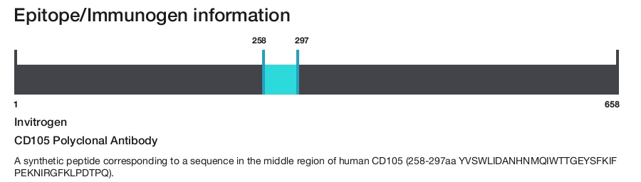 CD105 Polyclonal Antibody