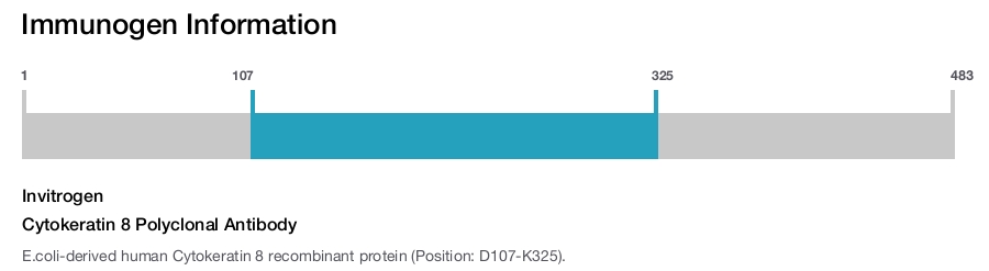 Cytokeratin 8 Polyclonal Antibody