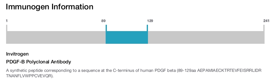 PDGF-B Polyclonal Antibody