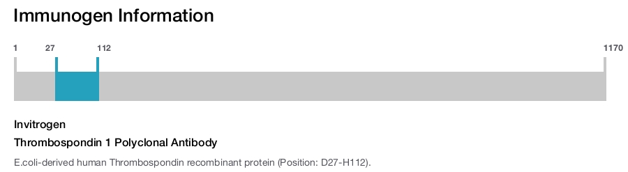 Thrombospondin 1 Polyclonal Antibody
