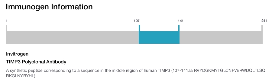 TIMP3 Polyclonal Antibody