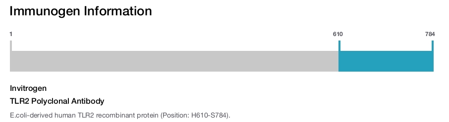TLR2 Polyclonal Antibody