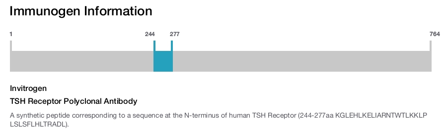 TSH Receptor Polyclonal Antibody