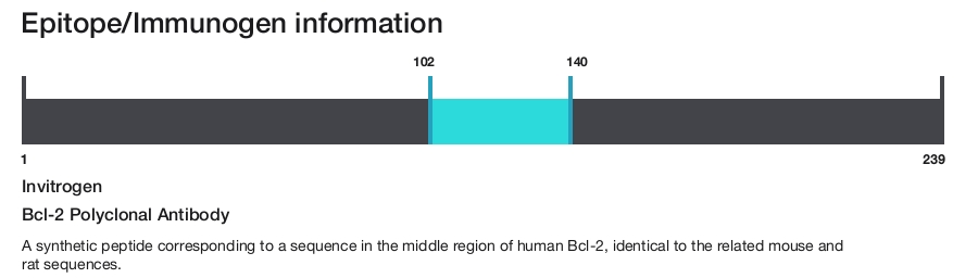 Bcl-2 Polyclonal Antibody