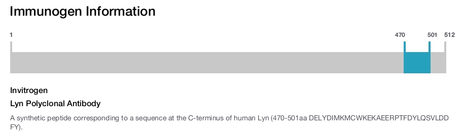 Lyn Polyclonal Antibody