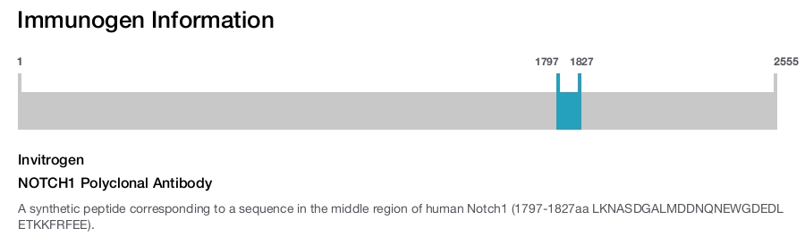 NOTCH1 Polyclonal Antibody