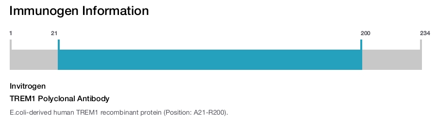 TREM1 Polyclonal Antibody