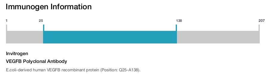VEGFB Polyclonal Antibody