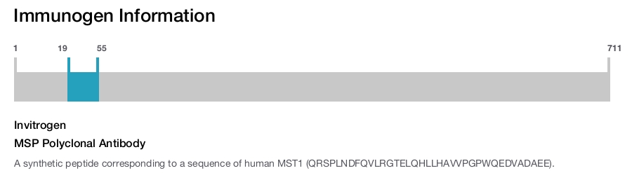 MSP Polyclonal Antibody