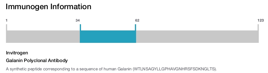 Galanin Polyclonal Antibody