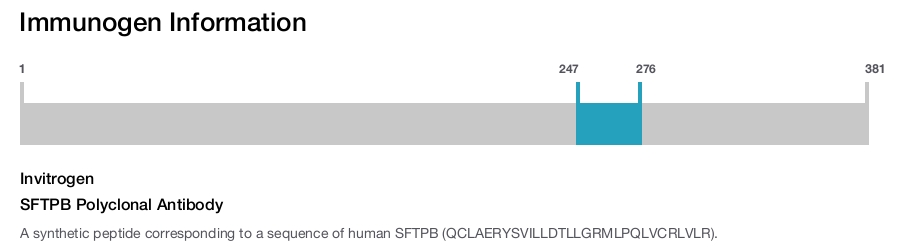 SFTPB Polyclonal Antibody
