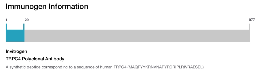 TRPC4 Polyclonal Antibody