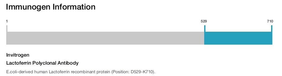Lactoferrin Polyclonal Antibody