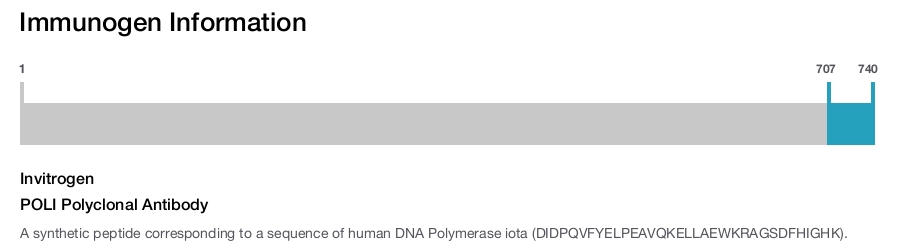 POLI Polyclonal Antibody