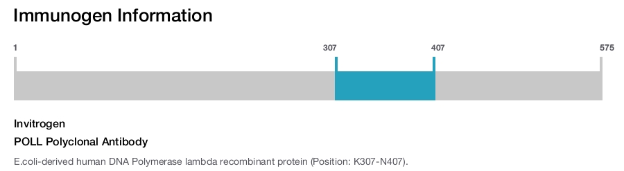 POLL Polyclonal Antibody