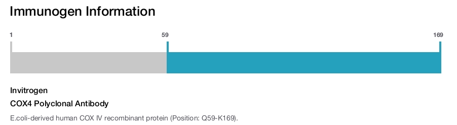 COX4 Polyclonal Antibody