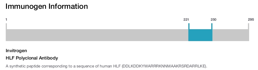 HLF Polyclonal Antibody