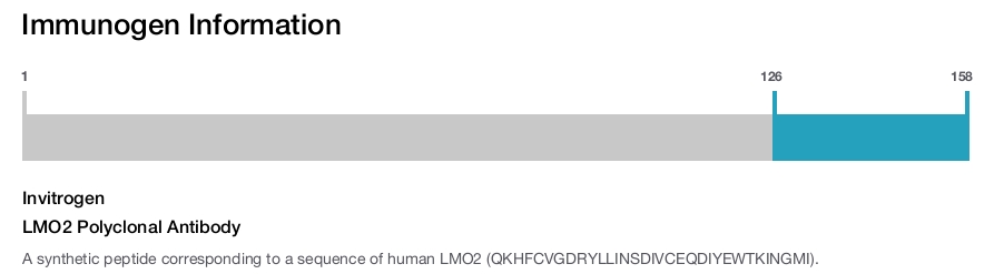 LMO2 Polyclonal Antibody