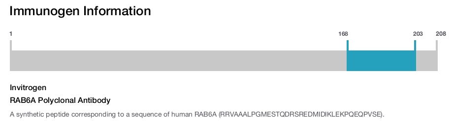 RAB6A Polyclonal Antibody