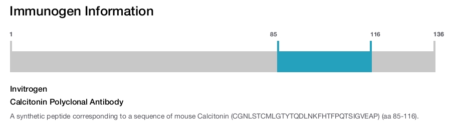 Calcitonin Polyclonal Antibody