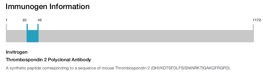 Thrombospondin 2 Polyclonal Antibody