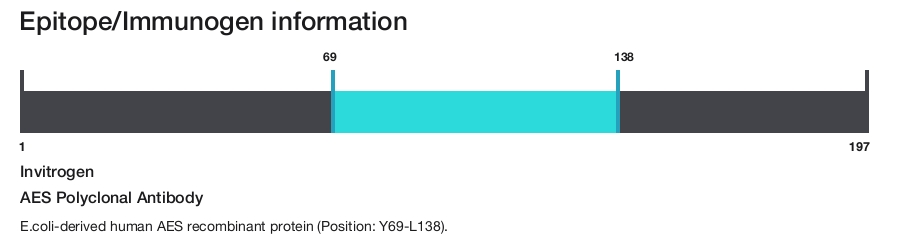 AES Polyclonal Antibody