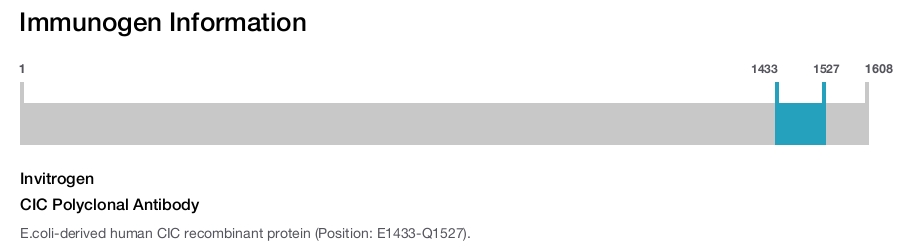 CIC Polyclonal Antibody