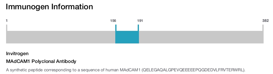 MAdCAM1 Polyclonal Antibody