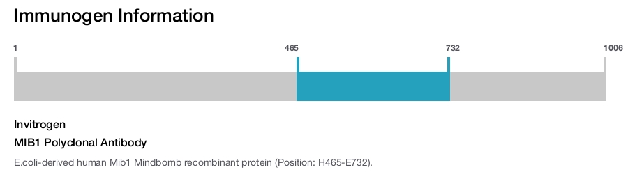 MIB1 Polyclonal Antibody